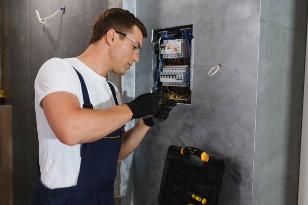 Best Electrical System Inspection  in Hampshire, IL